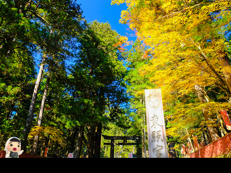 紅葉日光