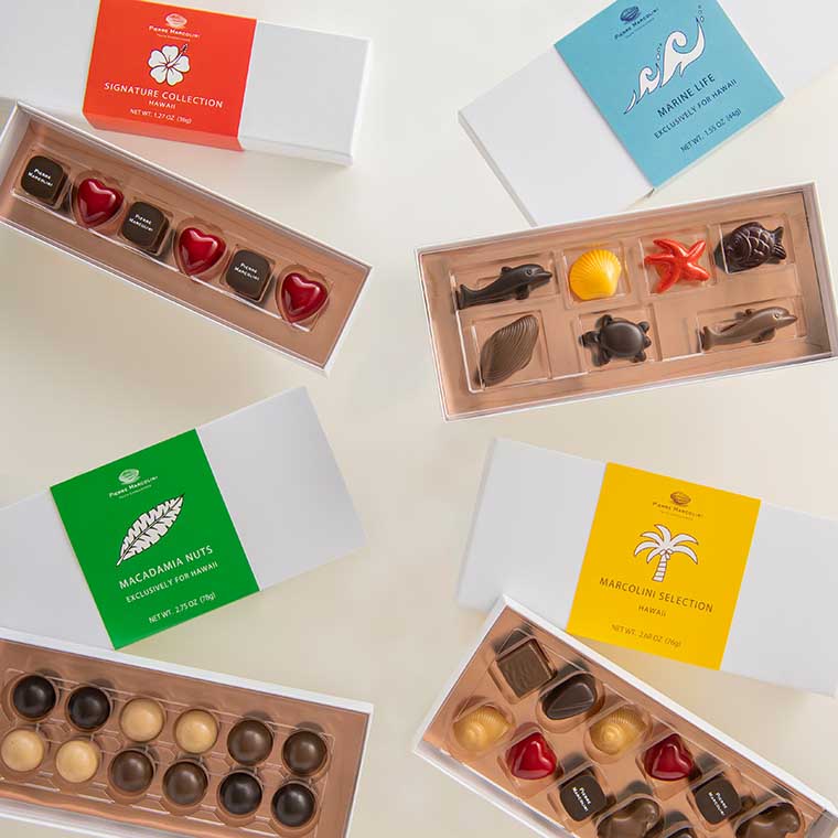 PIERRE MARCOLINI(ピエール マルコリーニ)