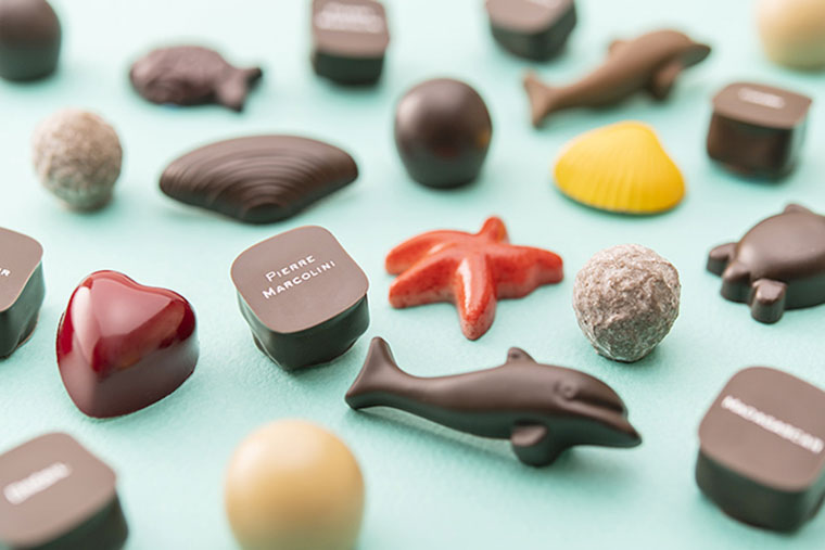 PIERRE MARCOLINI(ピエール マルコリーニ)