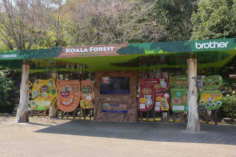 名古屋 東山動植物園 KOARA FOREST コアラの森