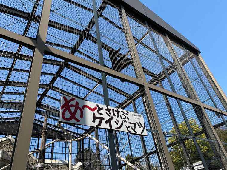 名古屋 東山動植物園 フクロテナガザル ケイジ