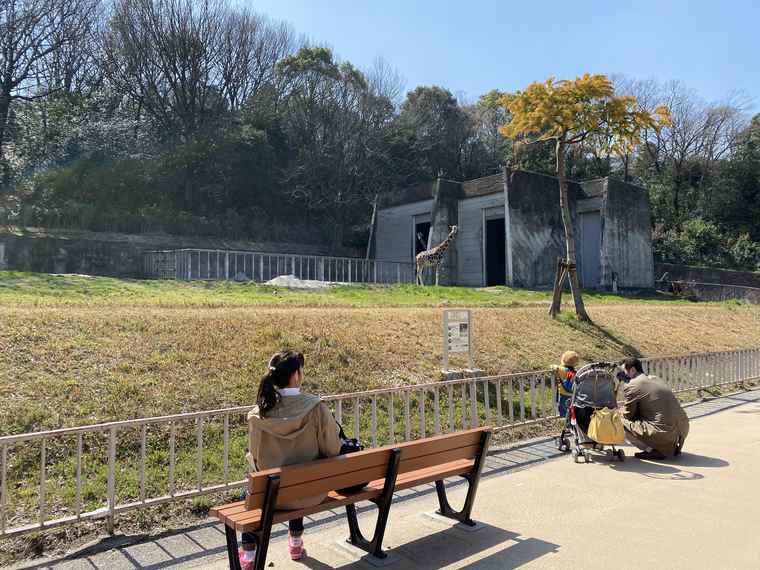 名古屋 東山動植物園 キリン舎