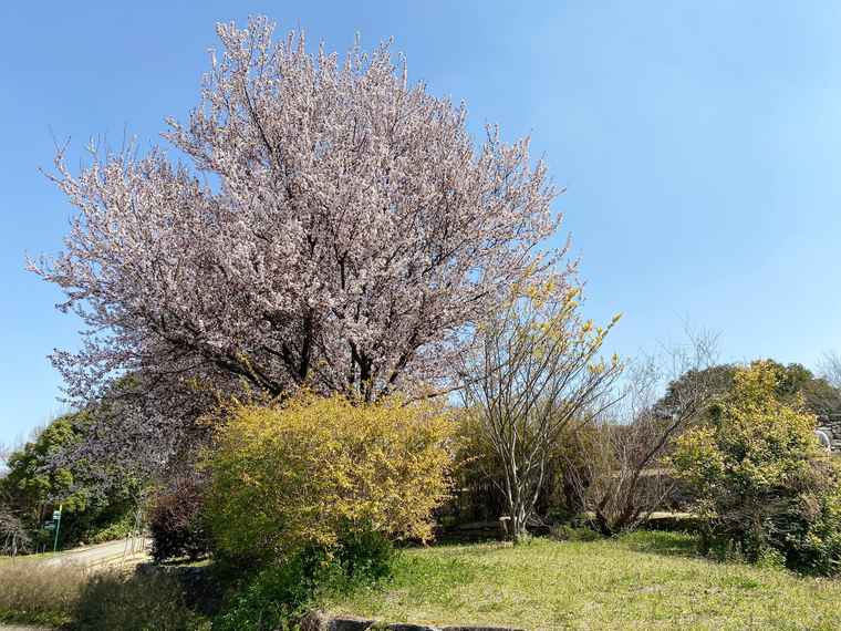 名古屋 東山動植物園