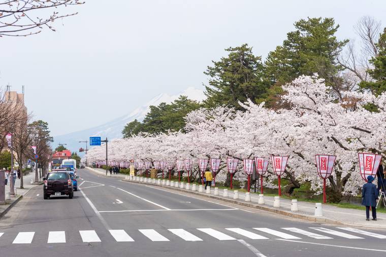 弘前公園