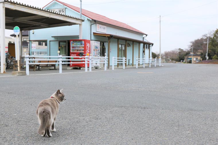 ひたちなか海浜鉄道 阿字ヶ浦駅