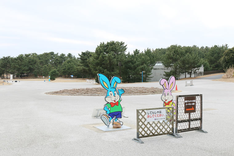 19年ひたち海浜公園のネモフィラgw必勝法 楽天トラベル