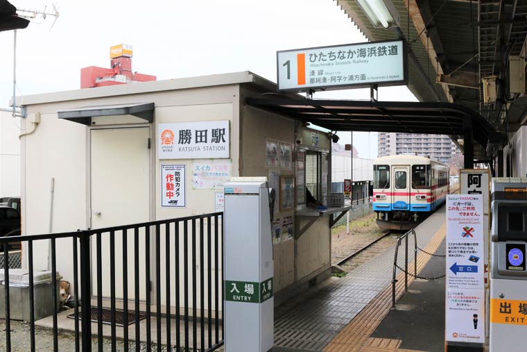 19年ひたち海浜公園のネモフィラgw必勝法 楽天トラベル