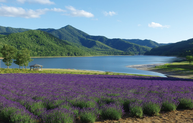 かなやま湖森林公園