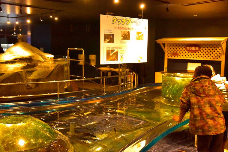 Slに水族館も 新千歳から30分圏内の北海道おすすめ道の駅 楽天トラベル