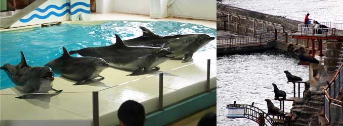 おたる水族館