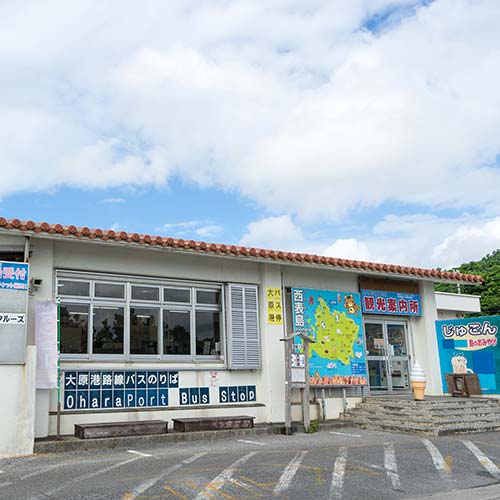 西表島 仲間川クルージング