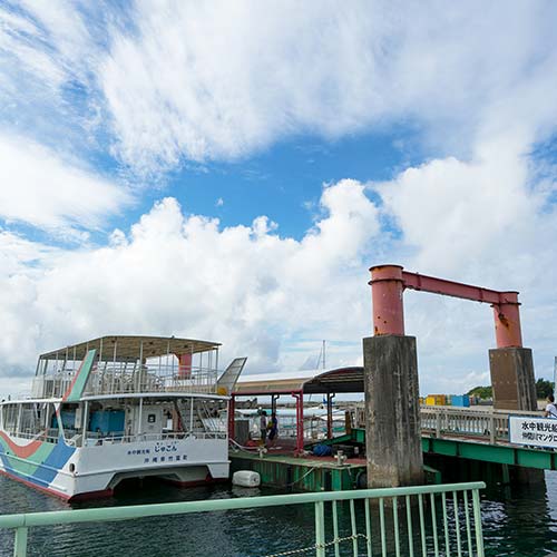西表島 仲間川クルージング