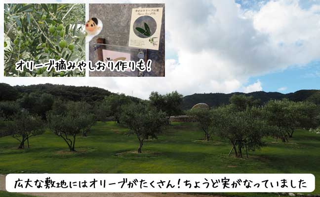 オリーブ公園