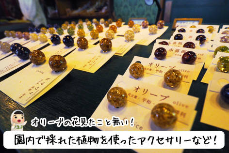 雑貨店内