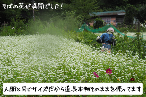 かかしの里