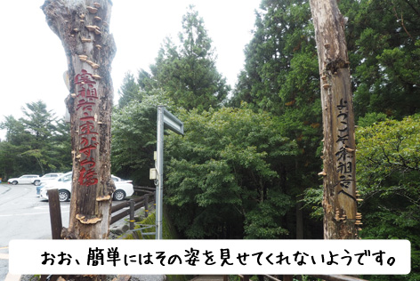 かずら橋入口