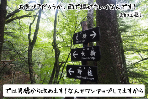 かずら橋