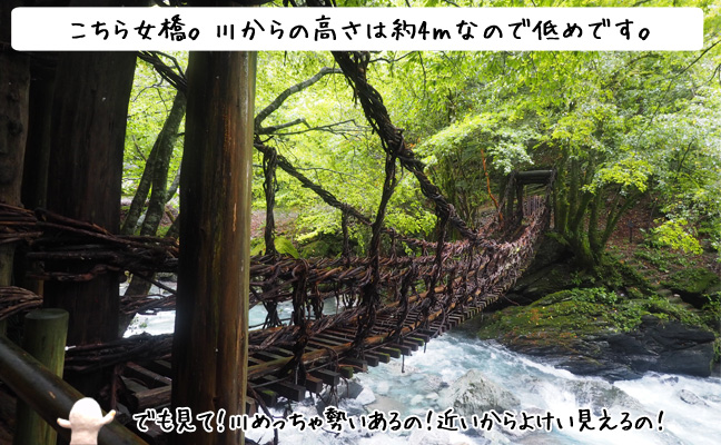 女橋