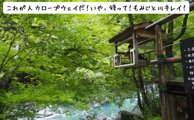 野猿