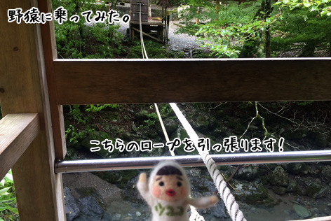 野猿