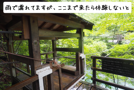 野猿