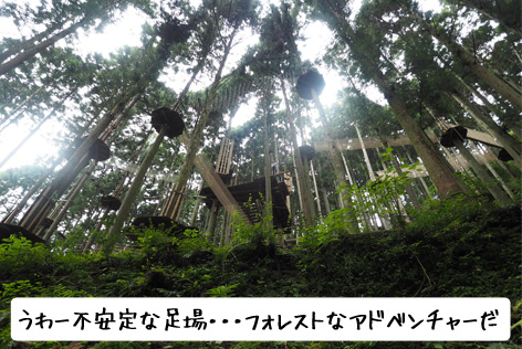 アスレチック