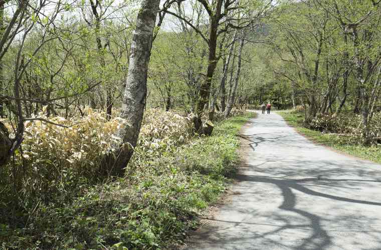 河童橋~大正池の散策ルートは定番