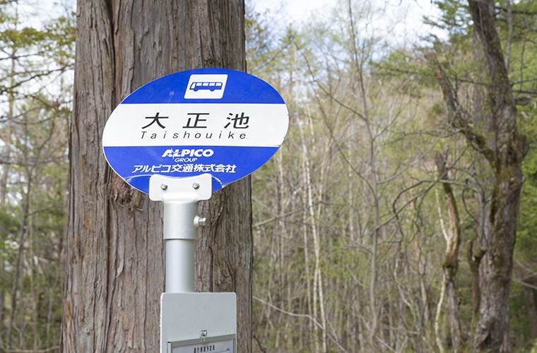 大正池のバス停