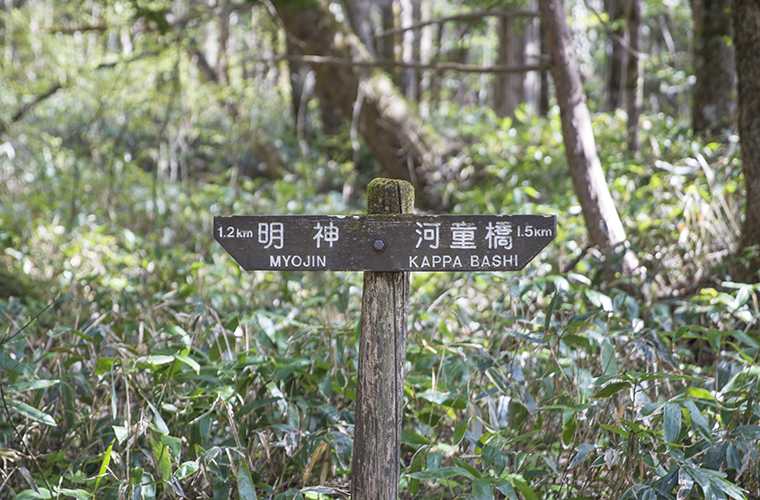 散策ルートの途中にある看板