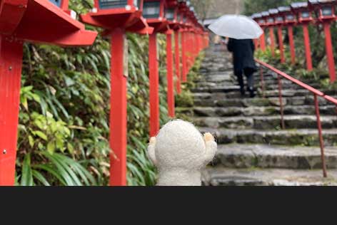 観光ガイドを聞きながら回ります