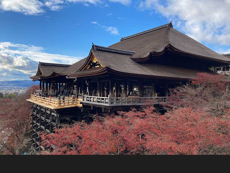 真新しい清水の舞台がキレイ!