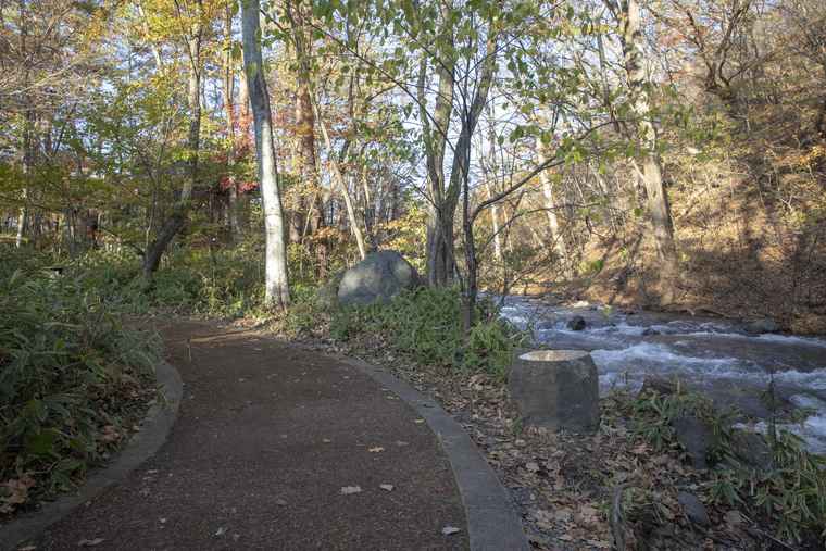 軽井沢星野エリア ウッドチップの遊歩道