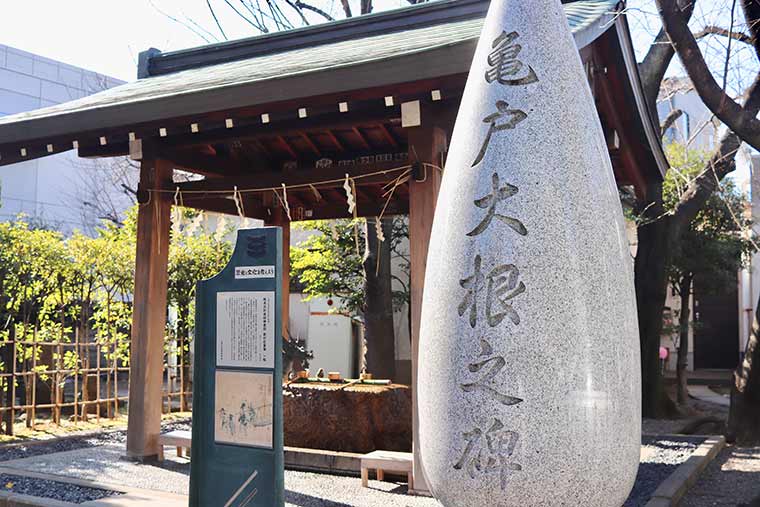 亀戸大根之礎