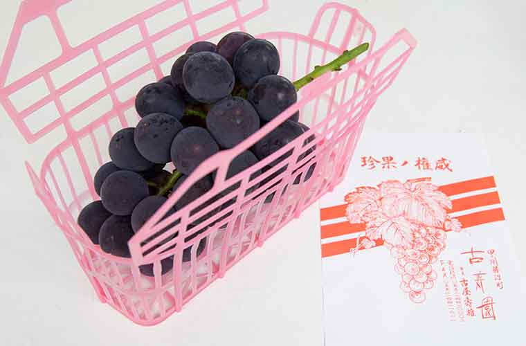 勝沼ぶどう郷 古寿園の量り売りぶどう