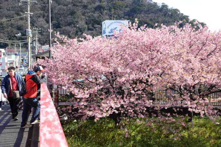 館橋