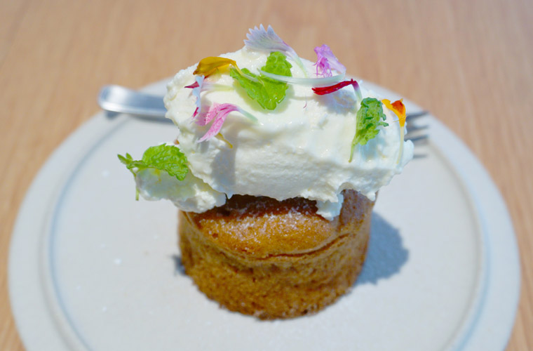 OFF. KINOSAKIのキャロットケーキ