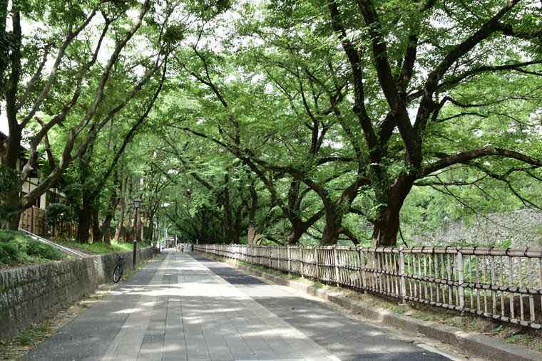 金シャチ横丁 お堀沿いの風景