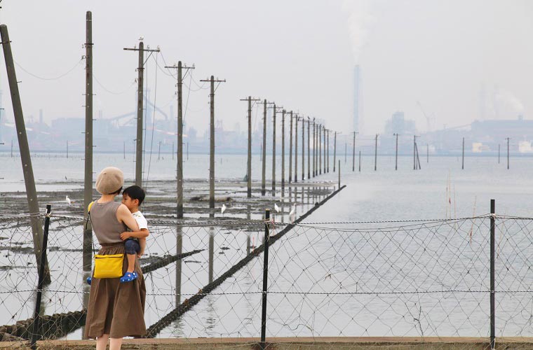 沖合いに向かって電柱が立ち並ぶ風景は幻想的