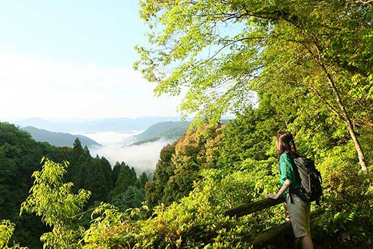山道だけでなく時には集落も歩く