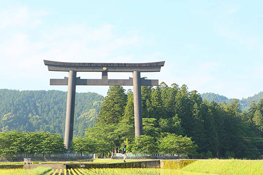 かつて社殿が置かれた大斎原の巨大な鳥居も必見