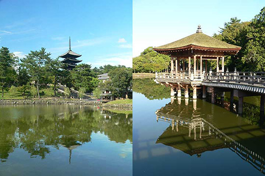 猿沢池(左)と浮見堂(右) 写真出典/今日の奈良公園