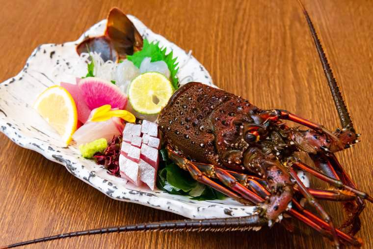 熊野古道 熊野倶楽部 晩御飯 伊勢海老、カンパチ、モンゴウイカ、トンボマグロの鮮魚