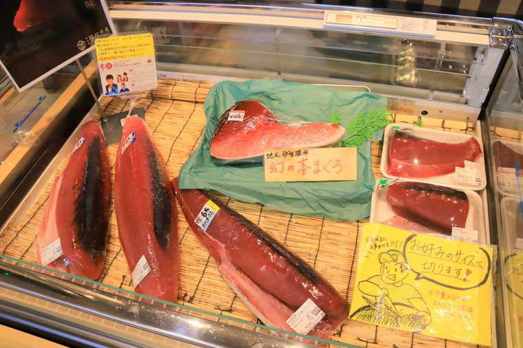 勝浦漁港「にぎわい市場」 「もち鮪」
