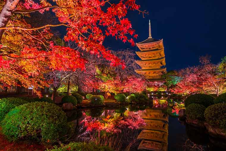 東寺 五重塔