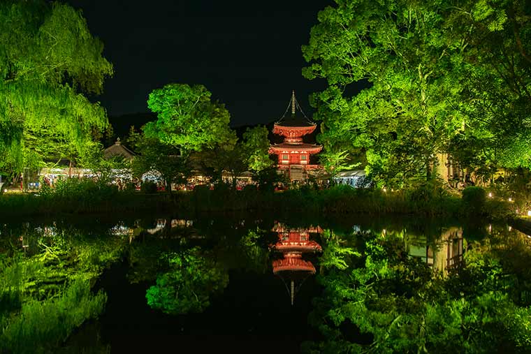 大覚寺 大沢池