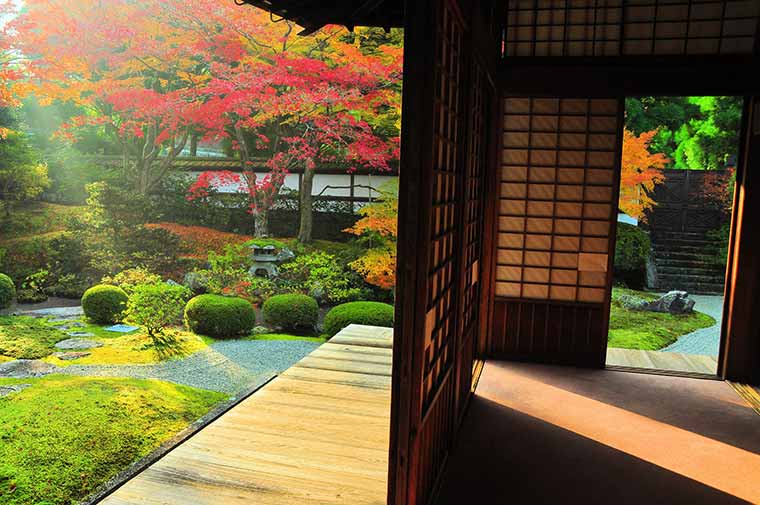 泉涌寺