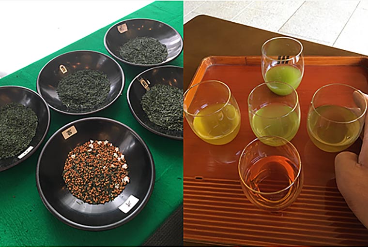宇治 茶かぶき体験