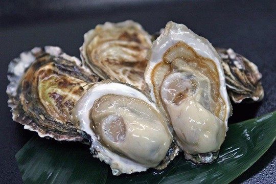 北海道 道の駅 厚岸グルメパーク 厚岸名産の身がぎゅっと詰まったカキ