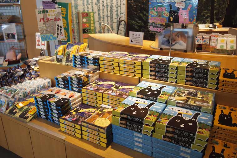 藻岩山 もいもいのお店 もーりすグッズ