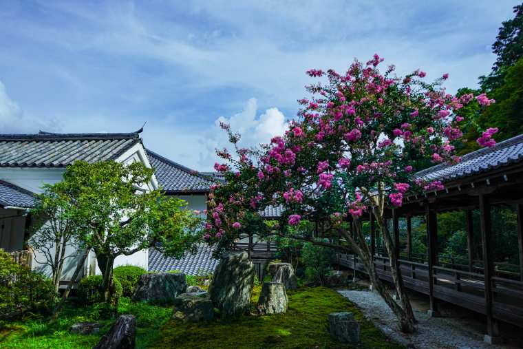 京都 南禅寺 方丈 六道庭